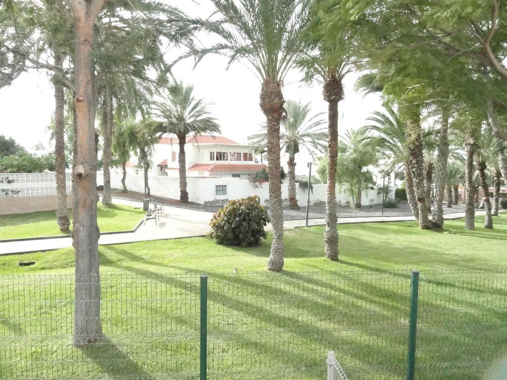 Apartment Virginia Playa de las Americas  Luaran gambar